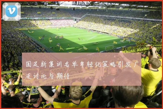 国足新集训名单年轻化策略引发广泛讨论与期待