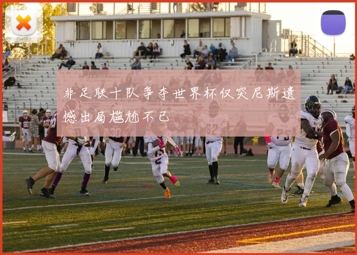 非足联十队争夺世界杯仅突尼斯遗憾出局尴尬不已